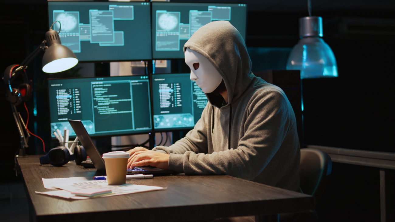Cyber Fraud